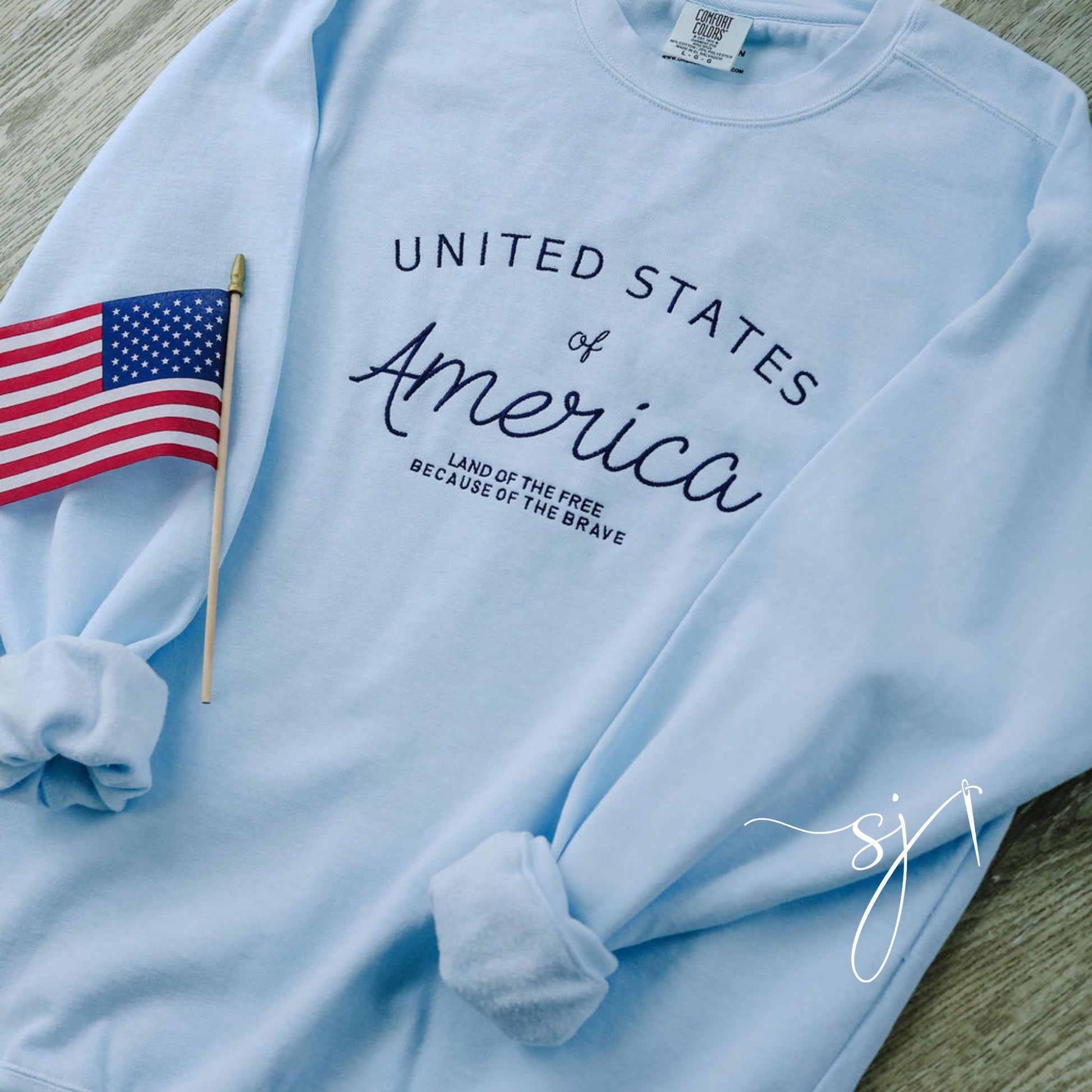 United States of America Embroidered Comfort Colors Crewneck Sweatshirt, Vintage Inspired 4th of July Summer, July Fourth Patriotic
